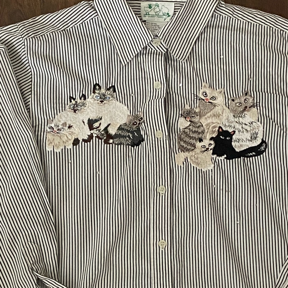 Button- down striped blouse Medium
